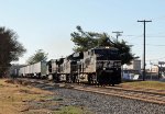 NS 8095 leads train 204 northbound